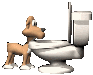 les chien assoifés