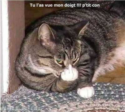 la politesse